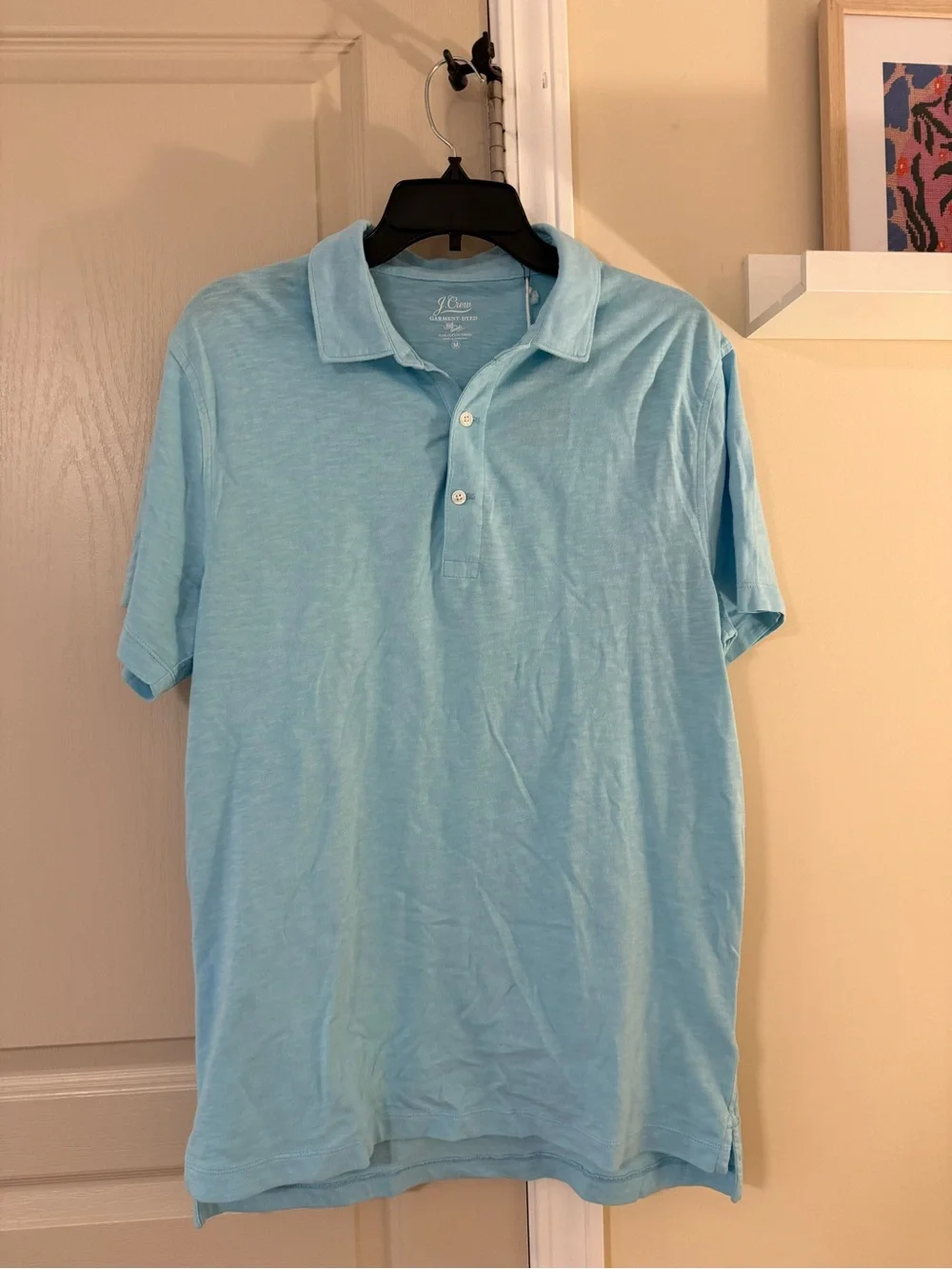 J. Crew Men's Sky Blue Polo Shirt